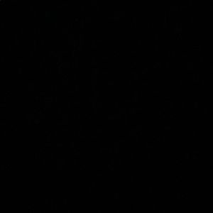 Meet your Posher, Regina